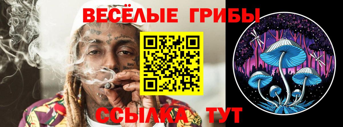 Галлюциногенные грибы Magic Shrooms Краснокамск