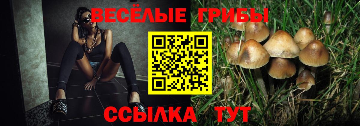 Краснокамск  Псилоцибиновые грибы Psilocybine cubensis  Вход с VPN  Псилоцибиновые грибы Cubensis 